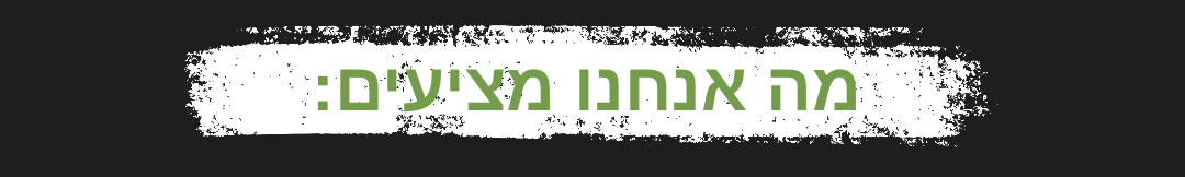מה אנחנו מציעים